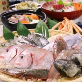 魚鮮水産 五反田西口店