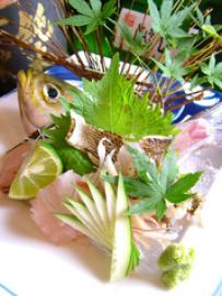 徳島 魚一番 新 あらた