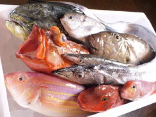 魚鮮水産 さかなや道場 松山三番町店